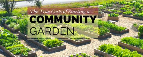 cost of starting a garden